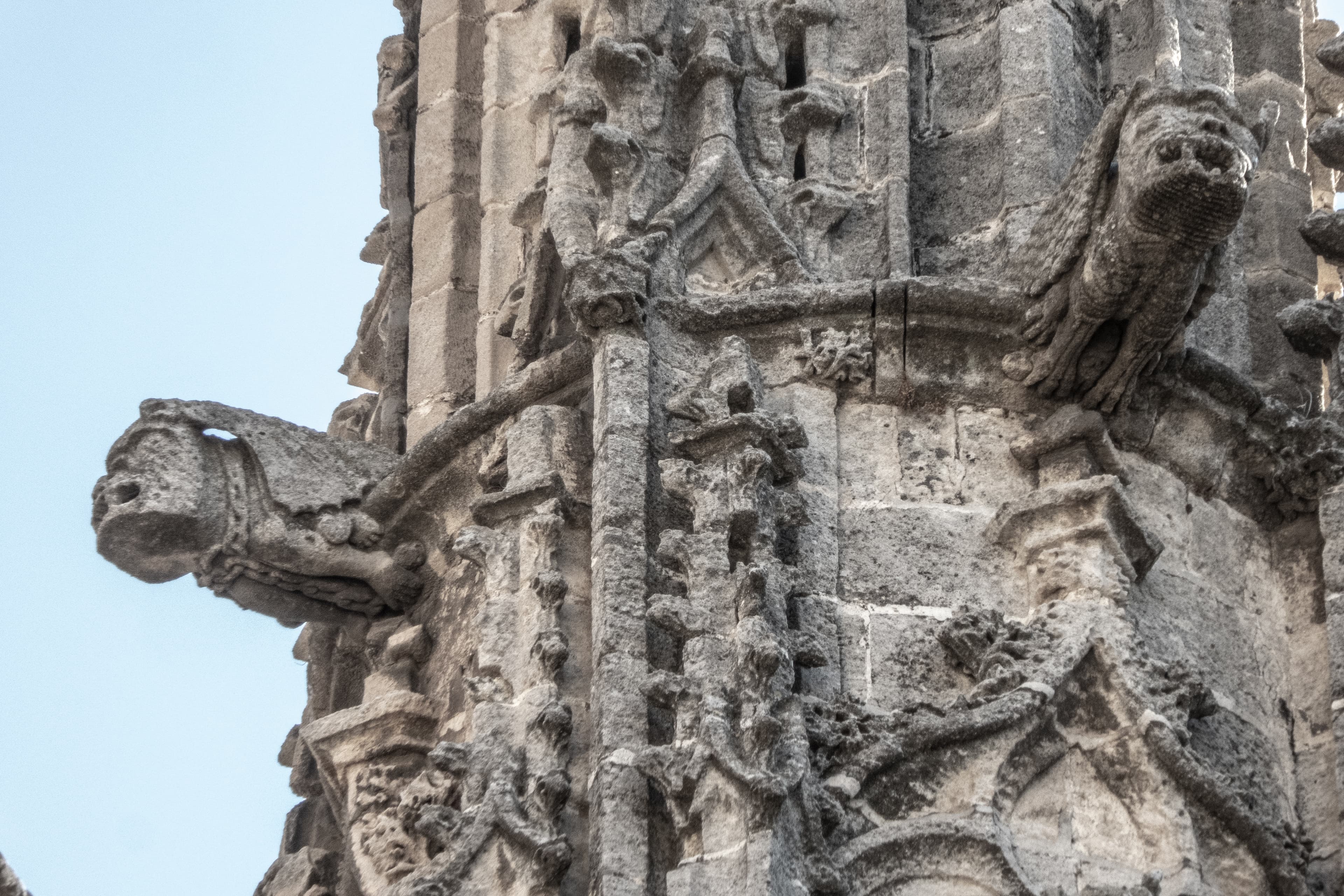 imagen catedral 1