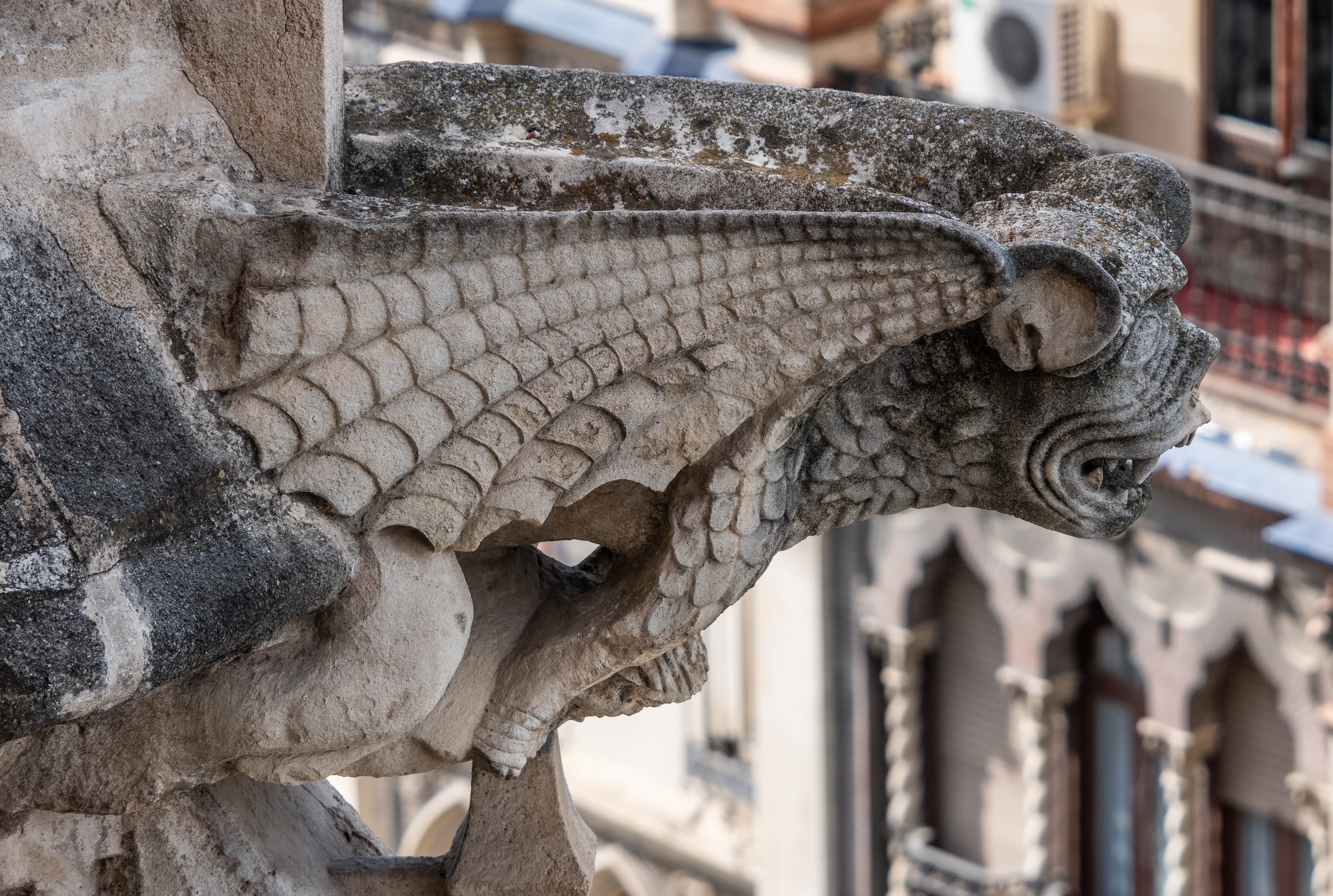 imagen catedral 1