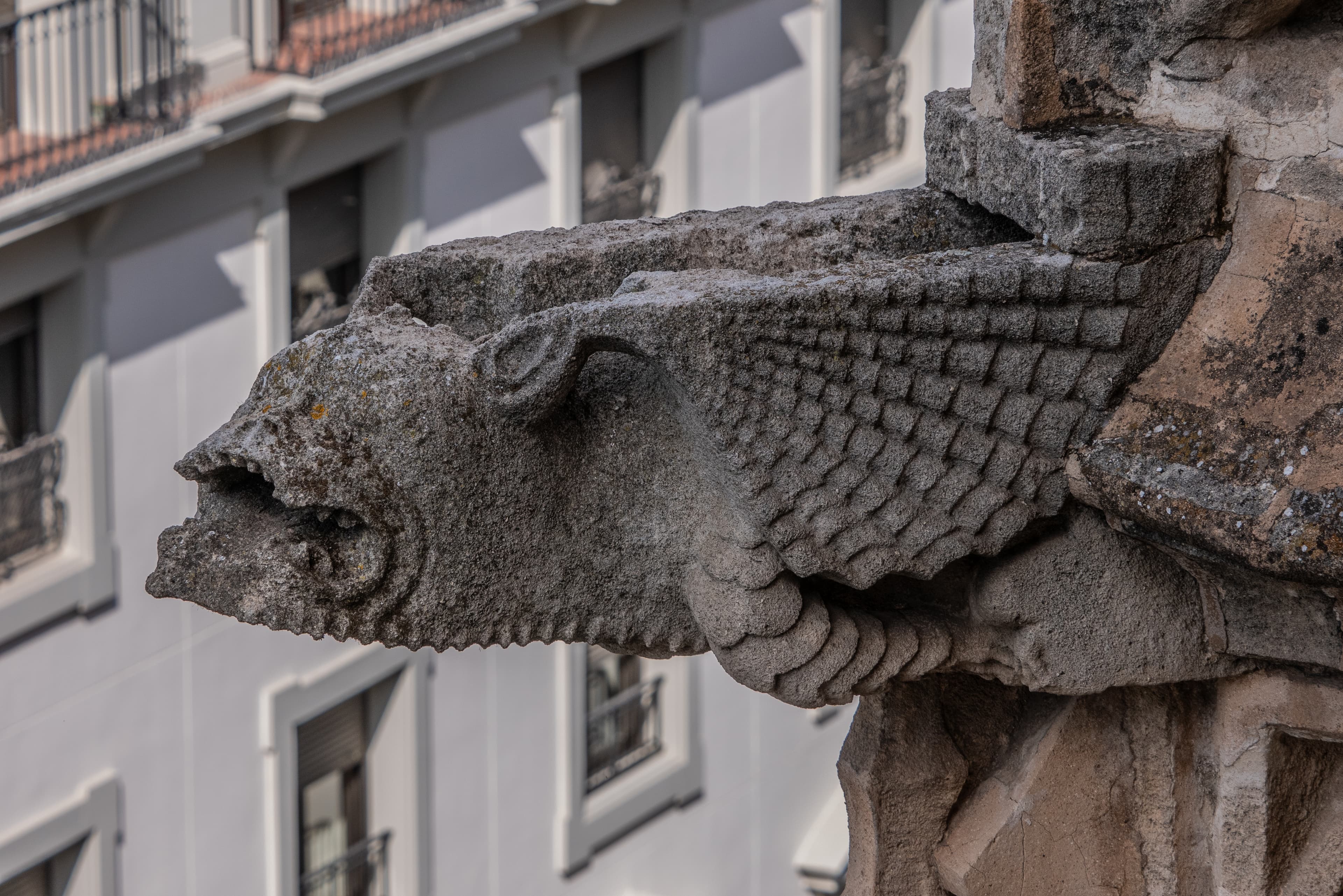 imagen catedral 1