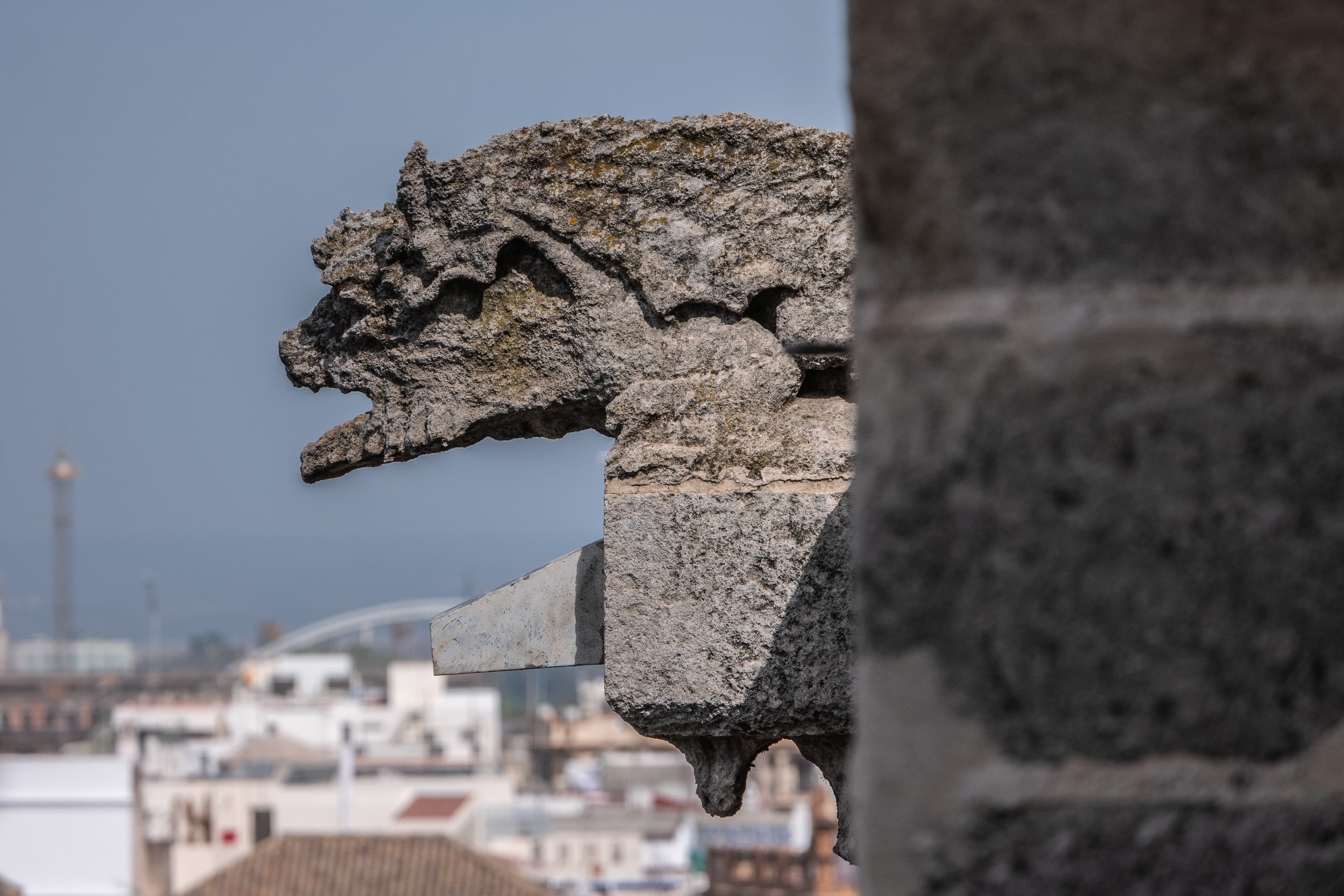 imagen catedral 1
