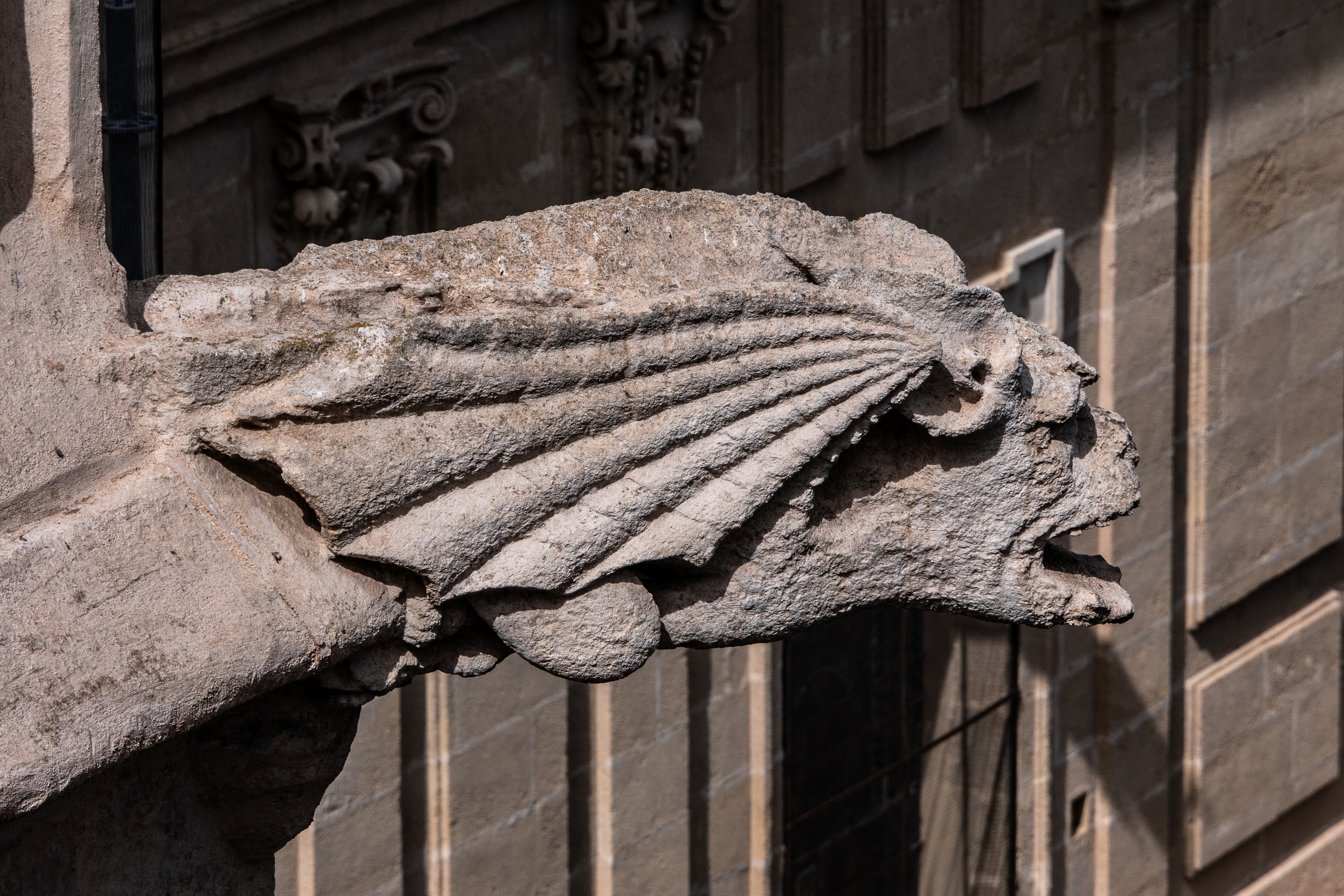 imagen catedral 1
