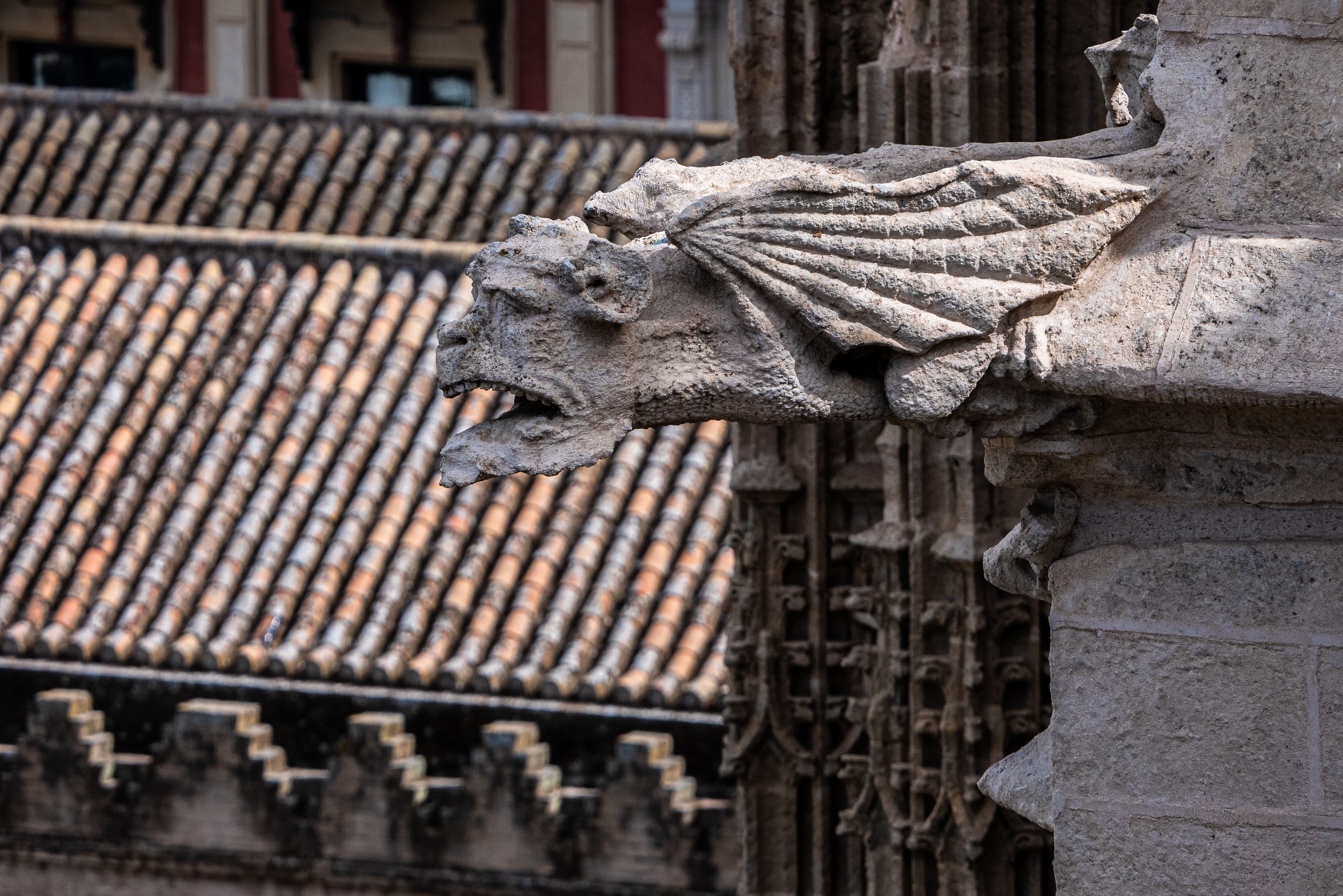 imagen catedral 1