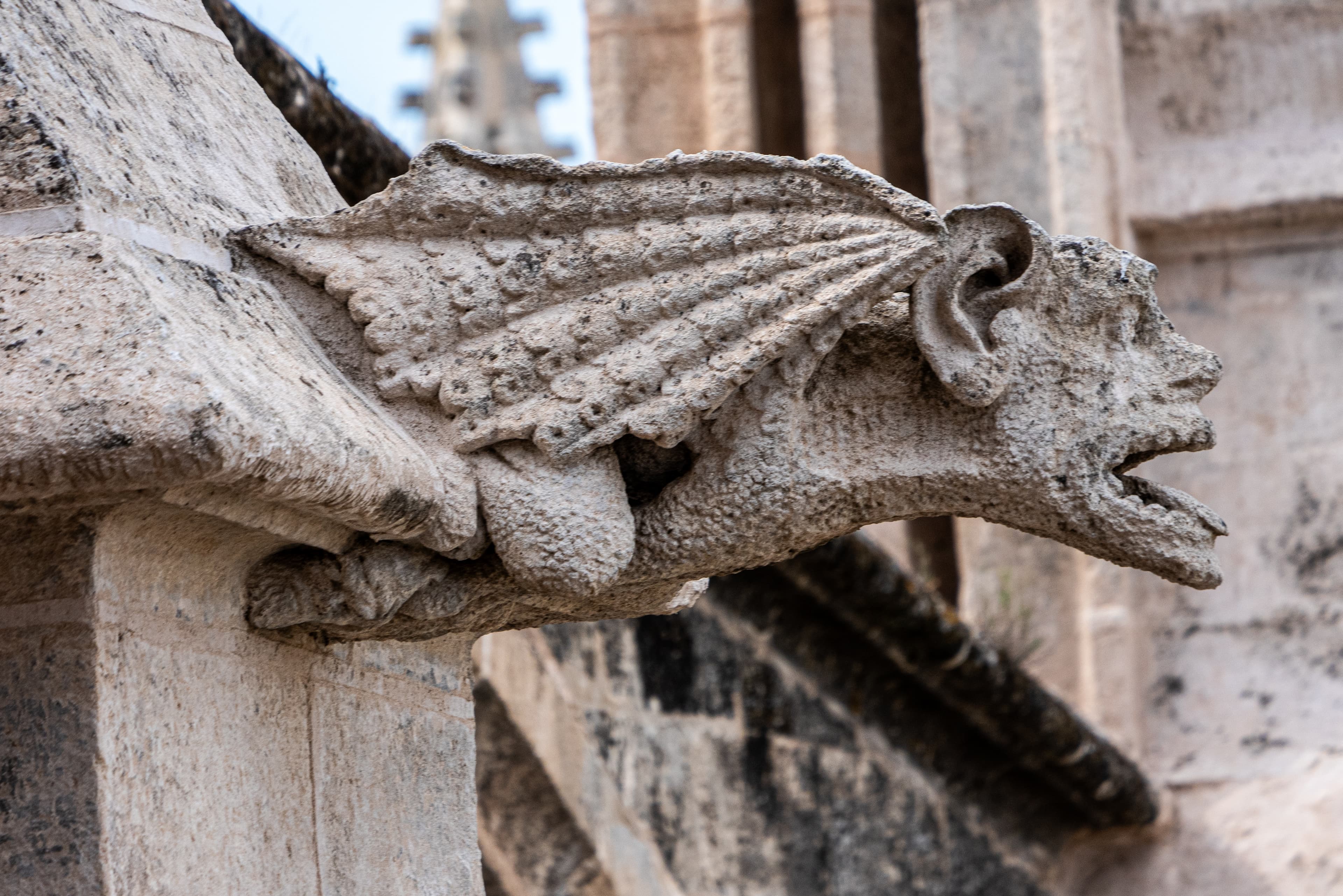 imagen catedral 1