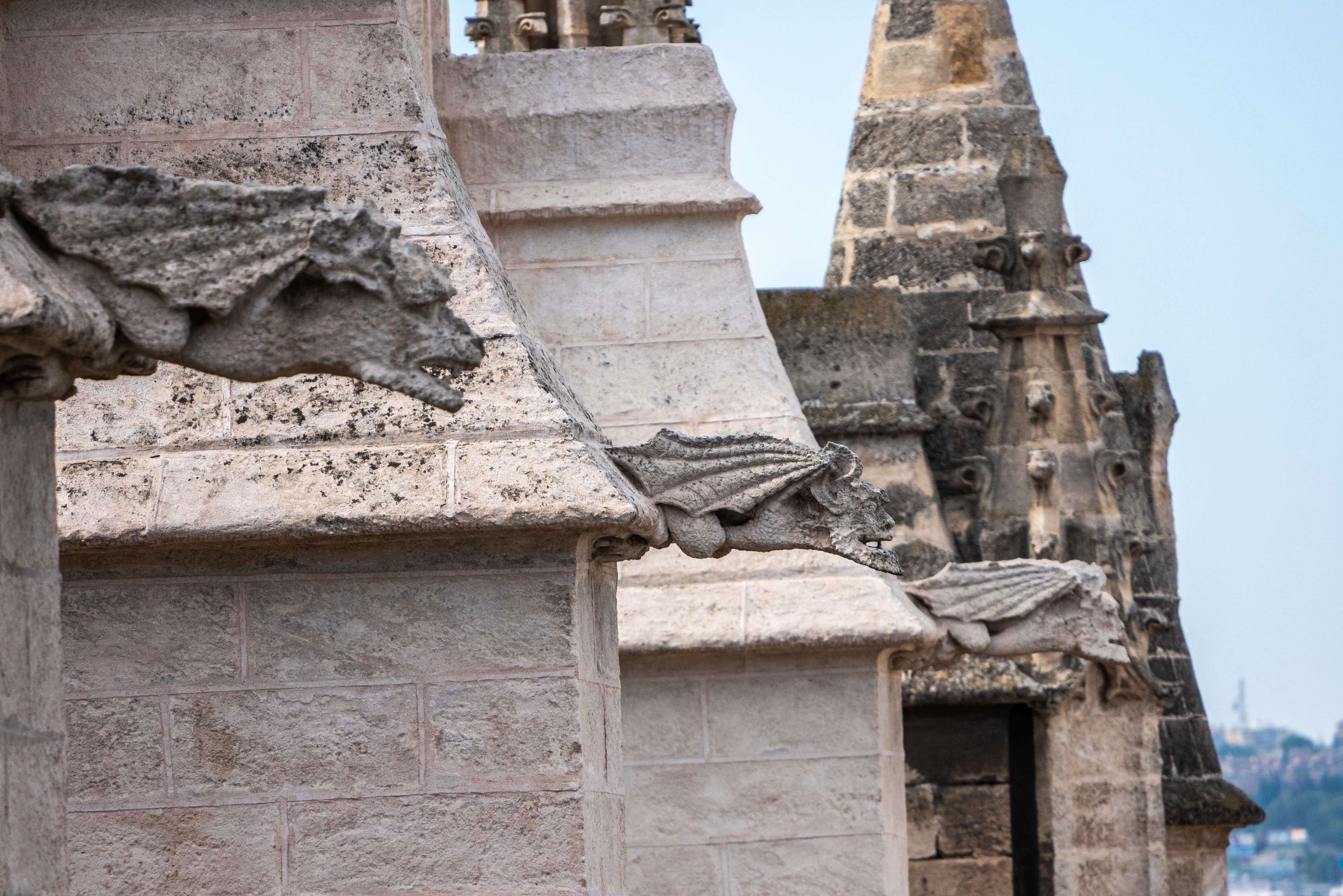 imagen catedral 1