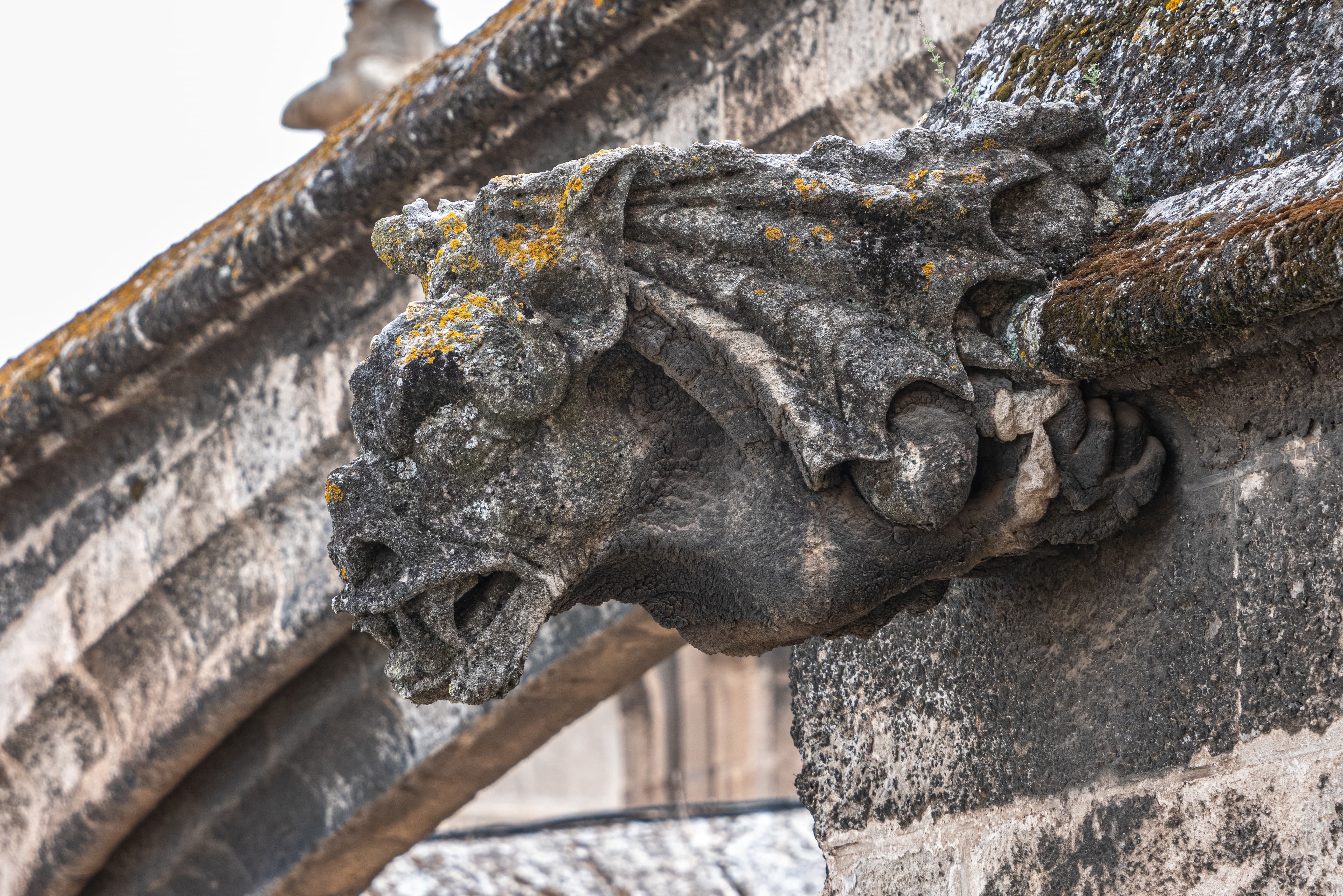 imagen catedral 1