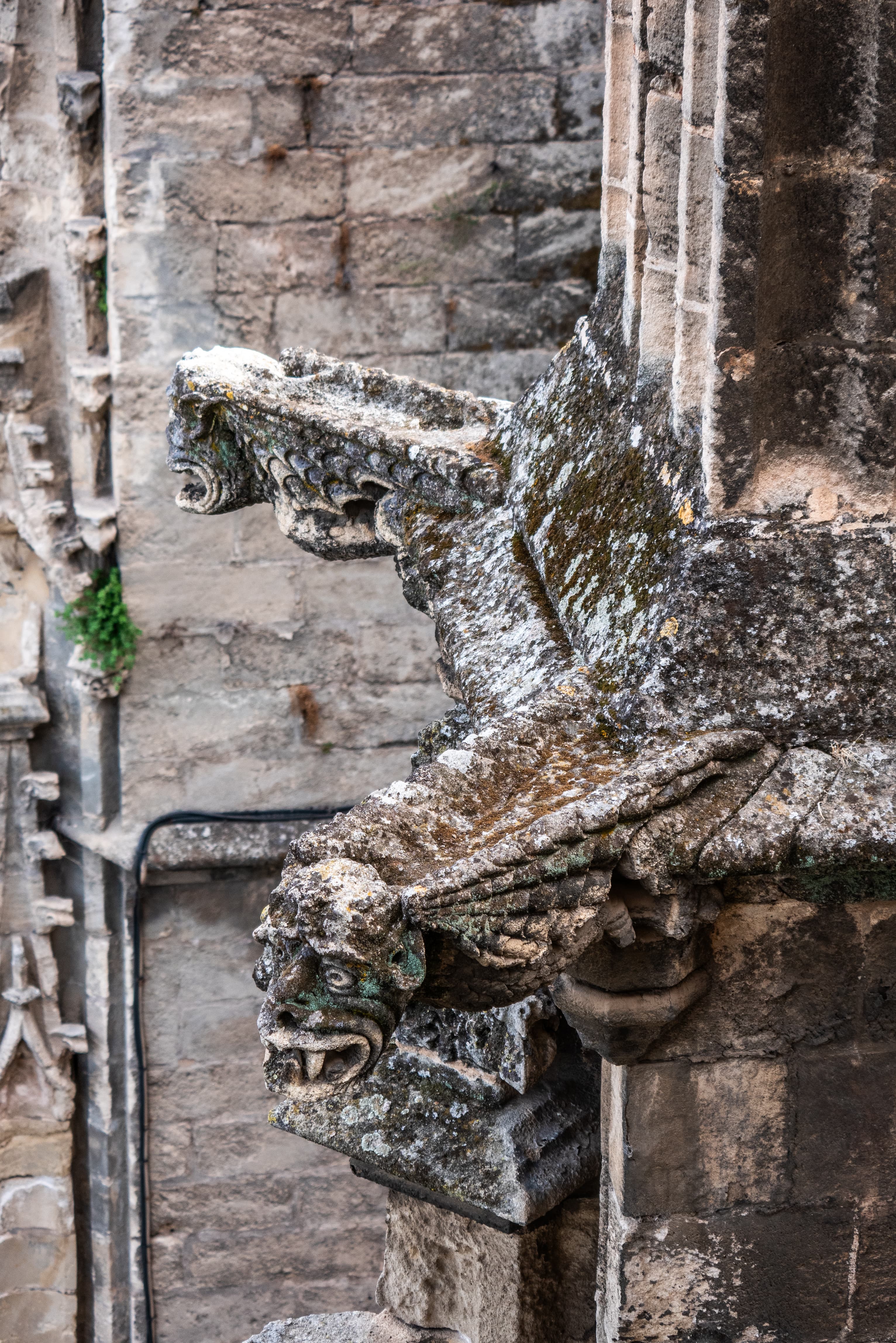 imagen catedral 1