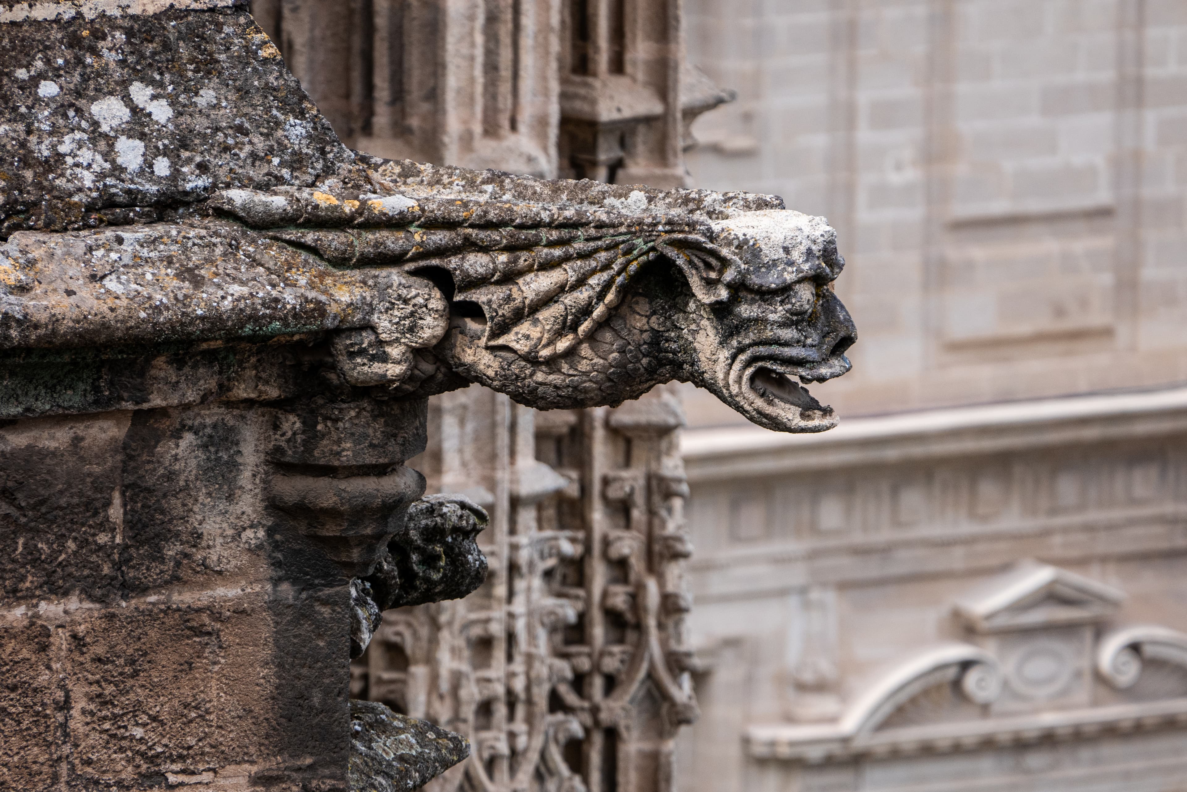 imagen catedral 1