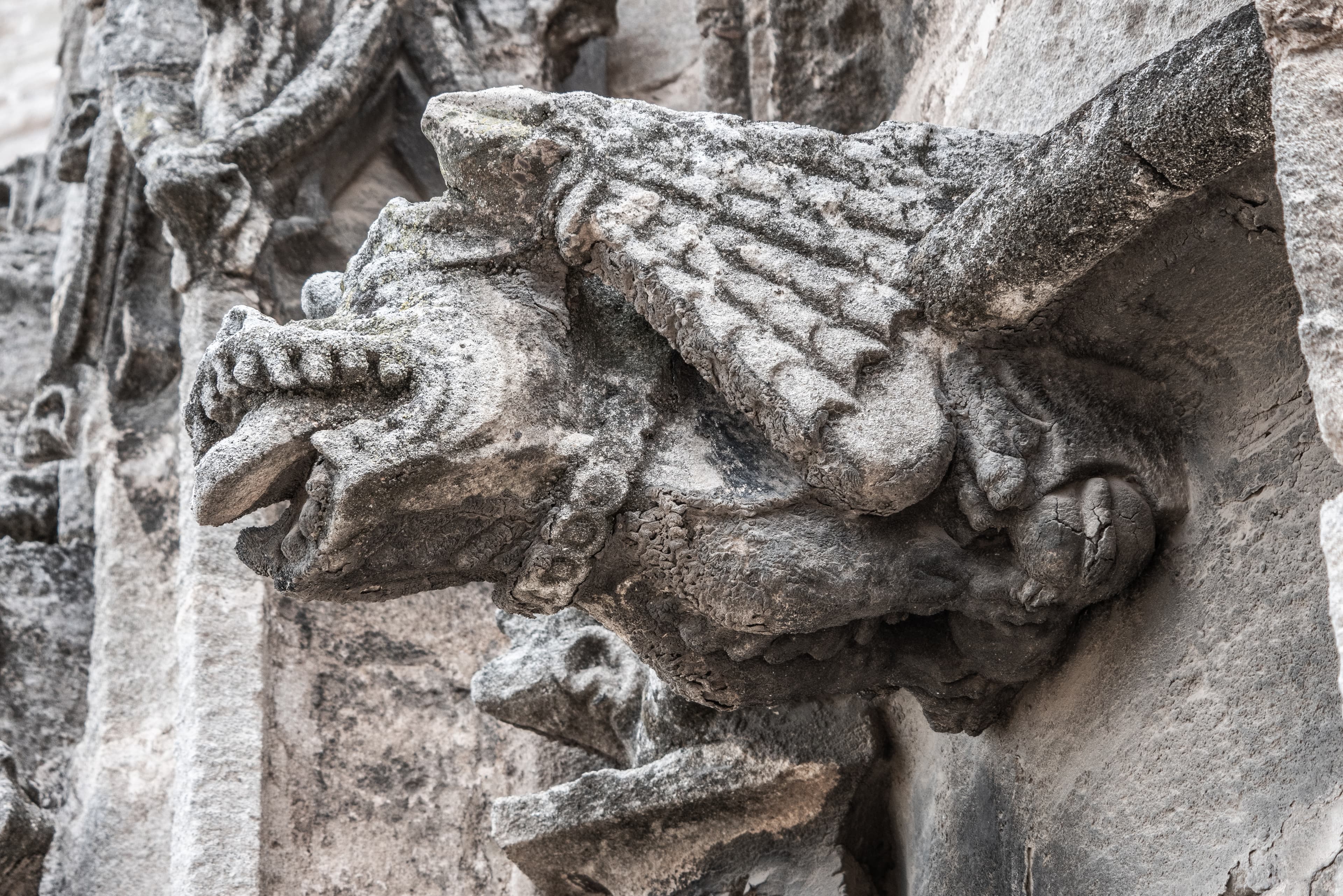 imagen catedral 1