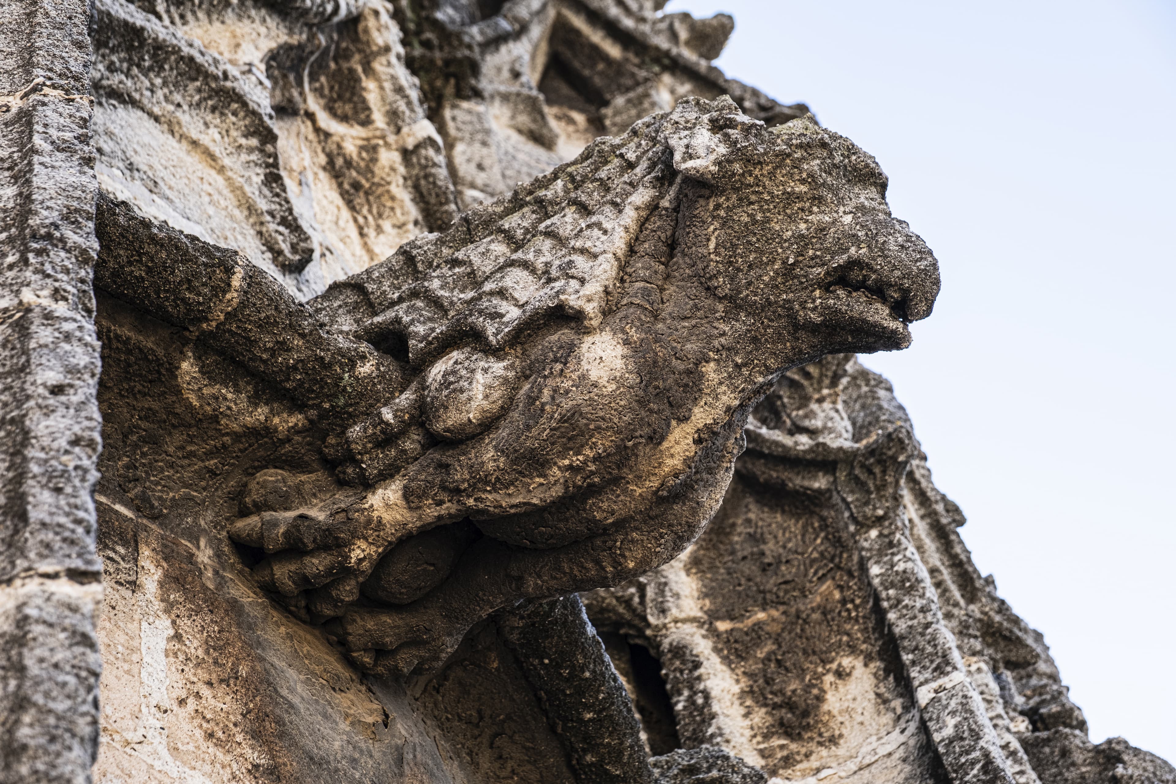 imagen catedral 1