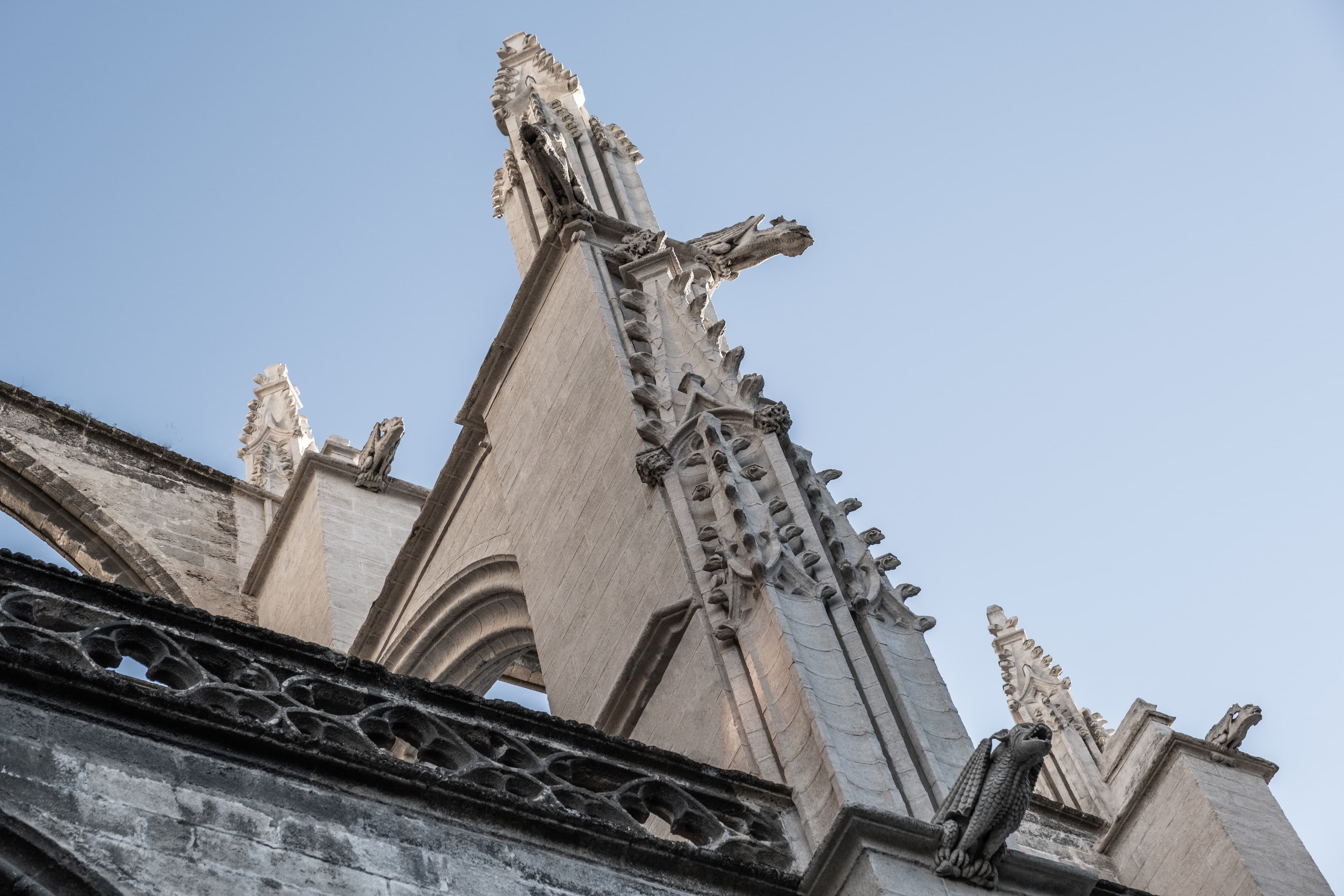 imagen catedral 1