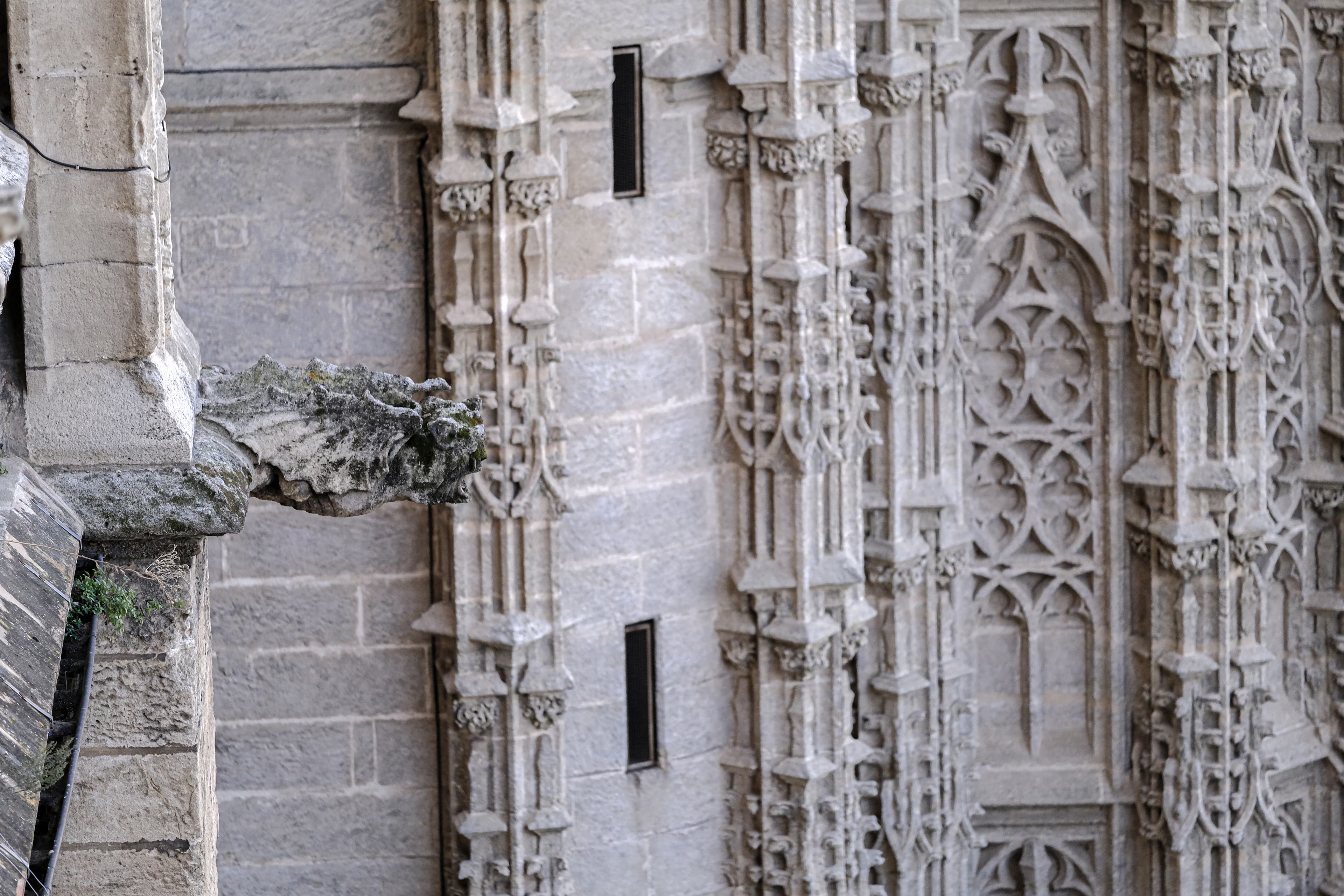 imagen catedral 1